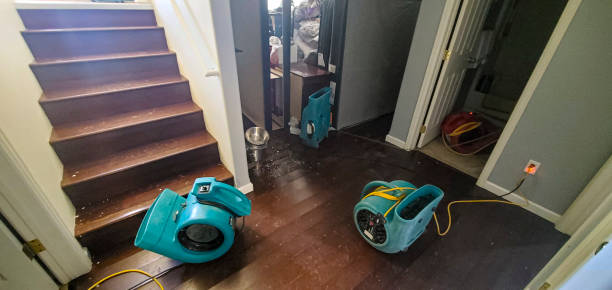 Best Water damage restoration near me  in Pablo, MT