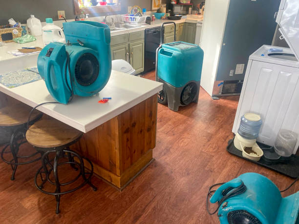 Best Water damage restoration services  in Pablo, MT