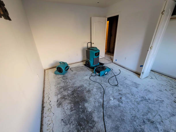 Best Flood damage cleanup  in Pablo, MT