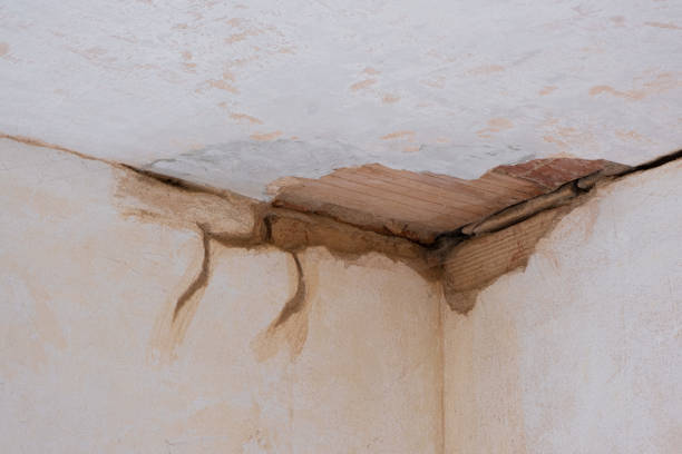 Best Flooded house restoration  in Pablo, MT