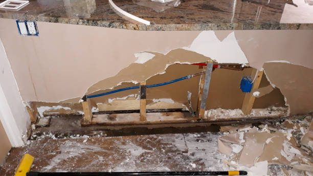 Best Water damage contractors near me  in Pablo, MT