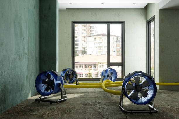 Best Sewage cleanup and water damage restoration  in Pablo, MT